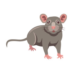 Cute grey rat cartoon illustration. Little house mice or rat character with long tail isolated on white background