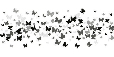 Fairy black butterflies isolated vector wallpaper. Spring cute moths. Decorative butterflies isolated fantasy illustration. Tender wings insects patten. Nature beings.