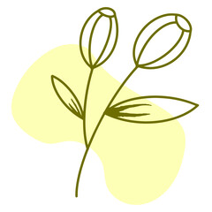 Obraz premium Botanical hand drawn element decoration vector