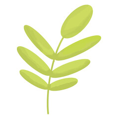 Botanical watercolor element decoration vector