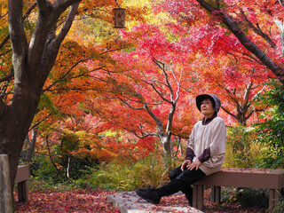 紅葉をベンチに座って眺める高齢日本人女性