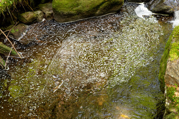 Water with foam between the stones with moss