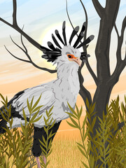 The secretary bird stands in a dry African savanna. Wild birds of Africa. Realistic vector landscape