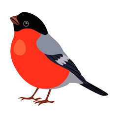 Red breasted bullfinch bird cartoon illustration. Tomtit, robin, starling, woodpecker and sparrow sitting on tree branch isolated on white