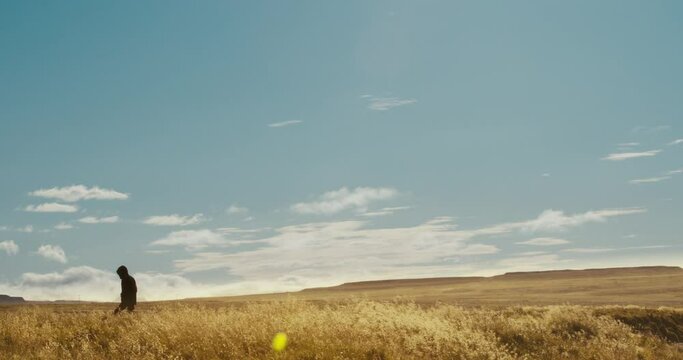 wide panning silhouette shot of a man walking in fiels in iceland in summer