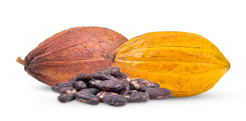 Cocoa isolated on transparent png