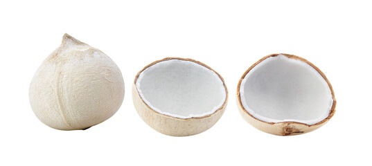 Young coconut nuts isolated on transparent png