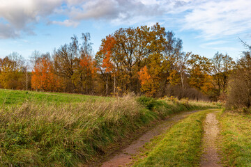 Naklejka premium Sunny fall day in the countryside. Autumn landscape.