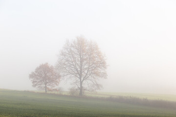 Autumn morning over scenic landscape. Scenic fields with fog.