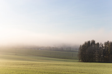 Morning fog over rural landscape