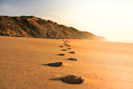 Uma linha de passos na areia