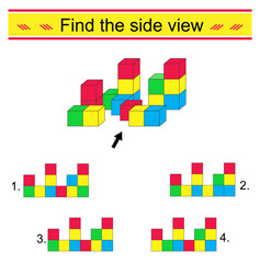 Puzzle game. Which side vıew is correct? IQ training test. Vector illustration. Ansrew is 3