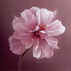 Foto op Canvas Dusty pink blossom illustration. © Myotis