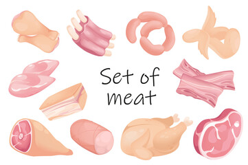 Meat products elements isolated set. Bundle of chicken, pork, beef, steak, sausage, bacon, wings, ham, ribs and other. Assortment of the butcher shop. Illustration in flat cartoon design