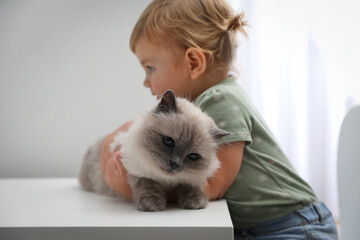 Cute little child with adorable pet at white table in room