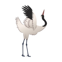 Crane bird illustration. Red crowned heron flapping wings. Stork or Japanese bird isolated on white background