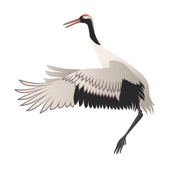 Crane bird flapping its wings cartoon illustration. Red crowned heron flapping wings. Stork or Japanese bird isolated on white background
