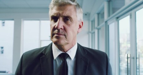 Corporate, ceo and businessman walking in office as management, professional and working at work. Business, executive and senior manager arriving at a company in a suit as a boss and office worker