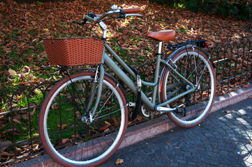 Fototapeta na wymiar female bicycle with basket vintage style parked in autumn park