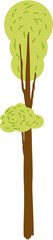Tree Plant Illustration