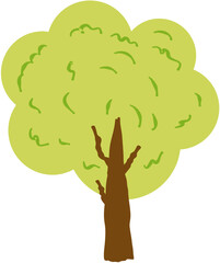 Tree Plant Illustration