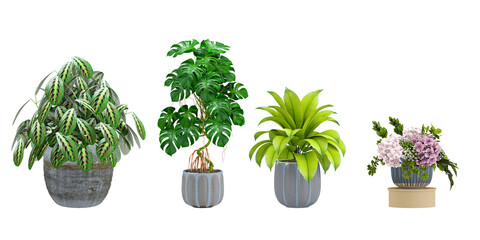 Plant 3d rendering