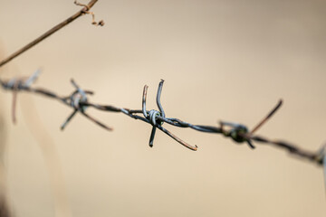 Old and Rusty Barbed Wire Fence on the Outdoor Garden.