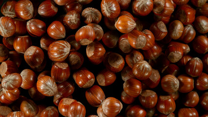 Freeze Motion Shot of Flying Whole Hazelnuts After Being Exploded on Black Background