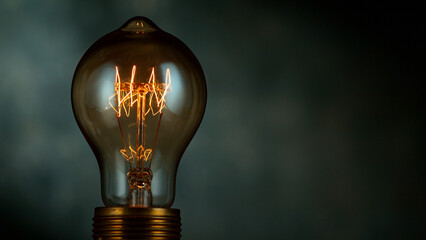 Close-up of shining light bulb, dark background