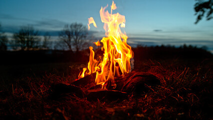 A Bonfire Burning in the Forest Meadow During Sunset. Slowmotion of Fireplace in Nature.
