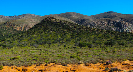 Foothills of the Swartberg mountains near Toorwater, Western Cape.