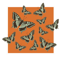 Butterfly pattern on orange background for textile ,print, paper,wallpaper,wrapping paper,