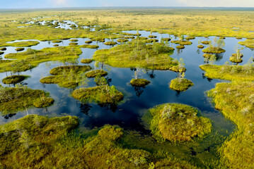 Swamp landscape on sunset. Wild mire of Yelnya, Belarus. East European swamps and Peat Bogs. Ecological reserve in wildlife. Marshland with islands and pine trees. Swampy land and wetland, marsh, bog.