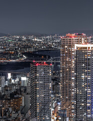 Obraz na płótnie Canvas 梅田スカイビルから見た大阪の夜景