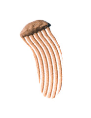 Creamy natural scrub on white background. Isolated. Beauty and fashion conception. Liquid cosmetic, smudge striped texture