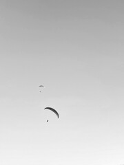 Minimalistic grayscale of the parachutes in the sky