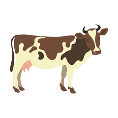 Cute spotted cow, farm animal flat vector illustration. Domestic animal isolated on white background