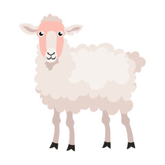 Cute curly sheep, ram, farm animal flat vector illustration. Domestic animal isolated on white background