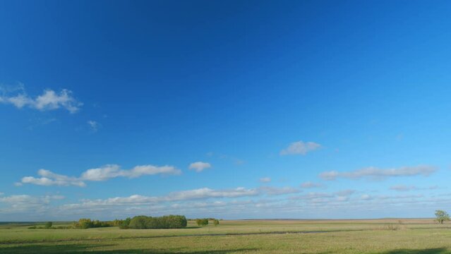 Beautiful autumn day with meadow and trees. Trees in the middle of green field. Timelapse.