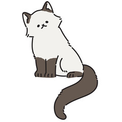 Persian cat  vector illustration