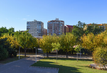 Green trees in park at facade buildings. Balconies and windows of residential building. Green trees in Valencia Central Park with garden. City street and Urban landscape. Empty park in hot sunny day.