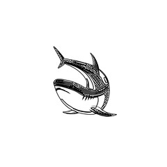 sketch, fish, drawing, illustration, shark, ocean, water, animal, vector, nature, sea, wild, underwater, teeth, wildlife, predator, background, dangerous, silhouette, danger, white, isolated, art