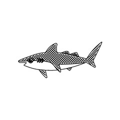 sketch, fish, drawing, illustration, shark, ocean, water, animal, vector, nature, sea, wild, underwater, teeth, wildlife, predator, background, dangerous, silhouette, danger, white, isolated, art