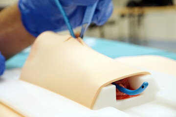 Insertion of a guide rod into the air tube of a pig larynx air tube training model