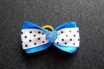 a blue and white polka dot bow for dogs with long hair lies on a shiny black background . view from...