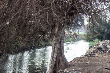 irrigation canal water beside village road and Green fields, countryside Egypt's Nile River Delta region
