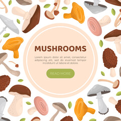 Mushrooms web banner with space for text. Forest edible mushrooms landing page, website cartoon vector