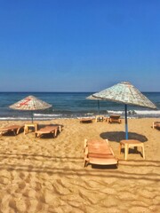 lounge chairs on the beach