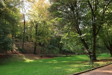 Pathway, fallen leaves, green grass and trees in beautiful public city park on autumn day