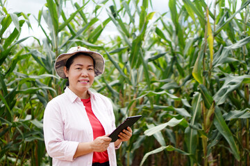 Happy Asian woman farmer is at maize garden, hold smart tablet. Concept : Agricultural research....